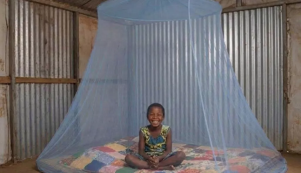 Circular mosquito net